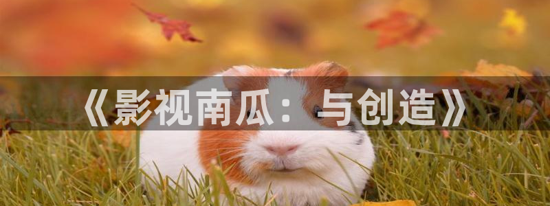 yy6090影院：《影视南瓜：与创造》