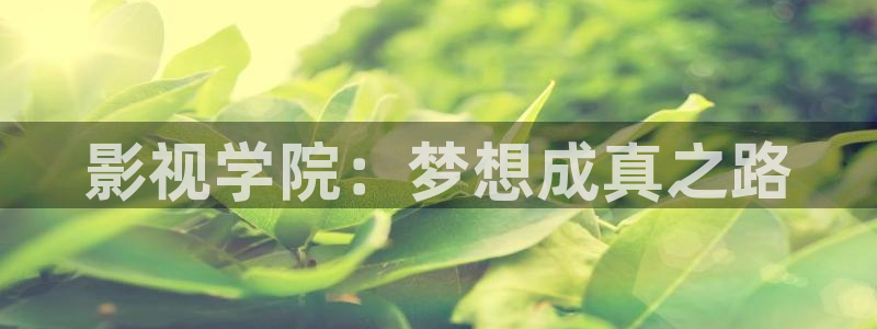 yy6090免费高清电视：影视学院：梦想成真之路