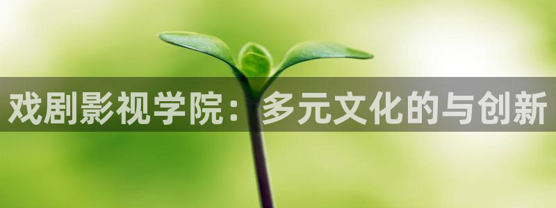 yy6090青苹果影院的播放量：戏剧影视学院：多元文化的与创新